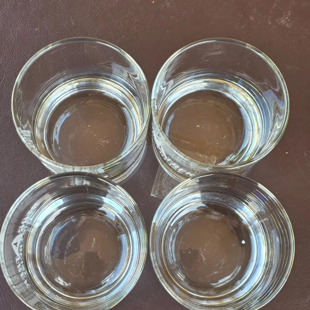 Star Trek The Cruise Etched Rocks Glasses Set of 4 Official Collector Barware